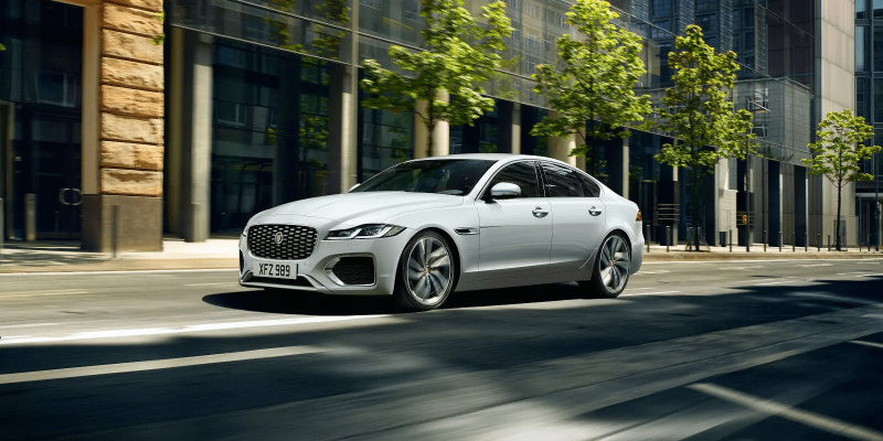 jaguar indonesia (2)